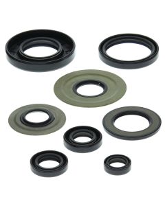 Vertex Oil Seal Kit 822155