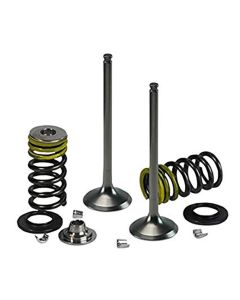Psychic Products Psychic Intake Valve Kit XU-09526IK