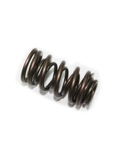 Psychic Exhaust Valve Spring XU-09537ES
