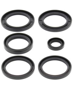 All Balls Racing Rear Differential Seal Kit 25-2062-5