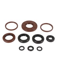 Vertex Oil Seal Kit 822383