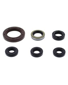 Vertex Oil Seal Kit 822973