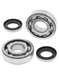 All Balls Racing Crank Shaft Bearing Kit 24-1044