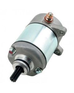 Starter Motor for Honda TRX250TM FourTrax Recon 2x4 2002-2007 Ricks