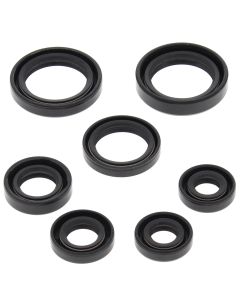 Vertex Oil Seal Kit 822236