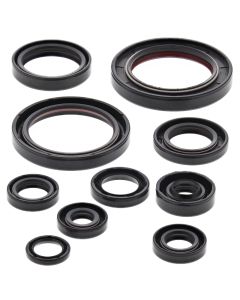 Vertex Oil Seal Kit 822248