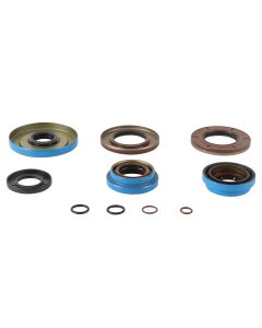All Balls Racing Transaxle Seal Kit 25-2126-5