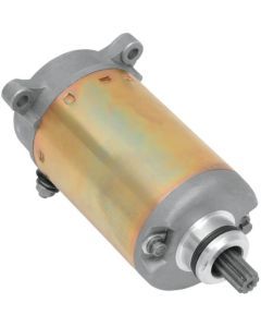 Starter Motor Triumph Legend TT 900 1999-2001 Ricks