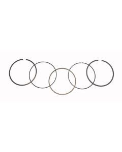 WSM Piston Rings For Honda 400 TRX-FW 04-07 .5mm Over 51-230-05