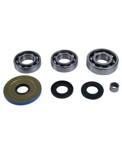 All Balls Front Differential Bearing and Seal Kit 25-2119