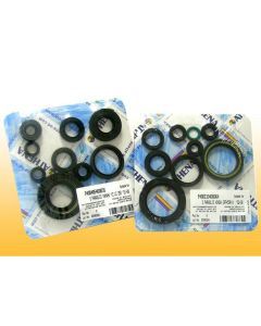 ATHENA P400210400252 COMPLETE ENGINE OIL SEAL KIT