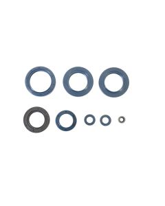 Athena Engine Oil Seal Kit P400010400020