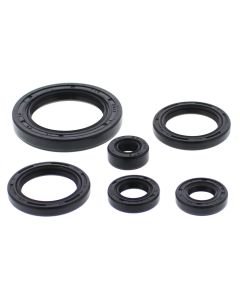 Vertex Oil Seal Kit 822978