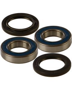NEW ALL BALLS WHEEL BEARING AND SEAL KIT 25-1299