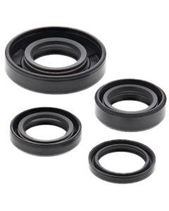 Vertex Oil Seal Kit 822246
