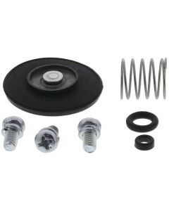 QuadBoss Accelerator Pump Kit - 53463002