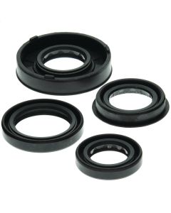 Vertex Oil Seal Kit 822261