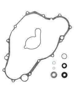 QuadBoss Water Pump Rebuild Kit - 821869
