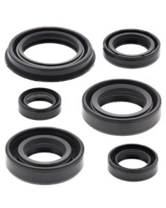 Vertex Oil Seal Kit 822220