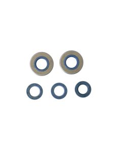 Athena Engine Oil Seal Kit P400150400060