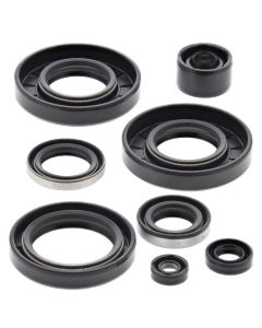 Vertex Oil Seal Kit 822293
