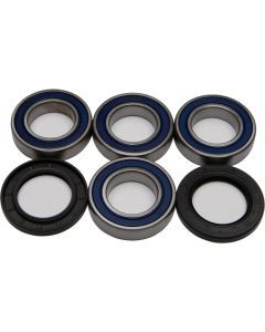 ALL BALLS 25-1436 Wheel Bearing and Seal Kit