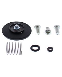 All Balls Accelerator Pump Rebuild Kit 46-3005