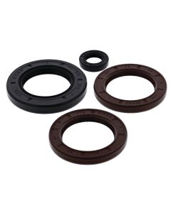 Vertex Oil Seal Kit 622206