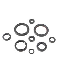 Vertex Oil Seal Kit 822989