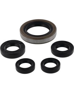 Vertex Oil Seal Kit 822249