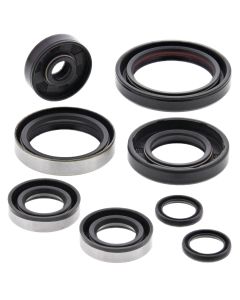 Vertex Oil Seal Kit 822264