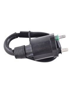RMStator Ignition Coil RM06137