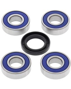 All Balls Racing Rear Wheel Bearing Kit 25-1220