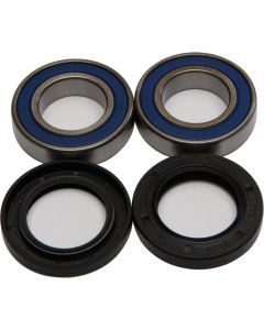NEW ALL BALLS WHEEL BEARING AND SEAL KIT 25-1435