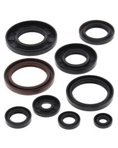 Vertex Oil Seal Kit 822233