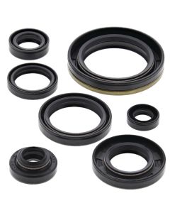 Vertex Oil Seal Kit 822126