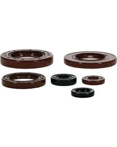 Vertex Oil Seal Kit 822390