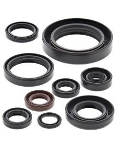 Vertex Oil Seal Kit 822268