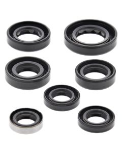 Vertex Oil Seal Kit 822289