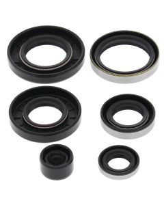 Vertex Oil Seal Kit 822281