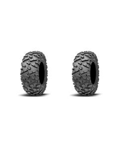 Pair of Maxxis Bighorn 2.0 Radial (6 Ply) UTV Tires 29x11R-14 (2)