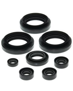 Vertex Oil Seal Kit 822152