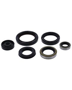 Vertex Oil Seal Kit 822995