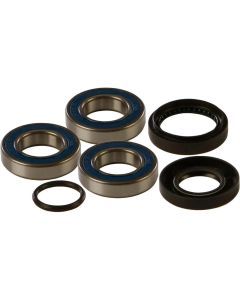 NEW ALL BALLS Honda Fourtrax 250ex/250 Recon AXLE BEARING KIT REAR WHEEL
