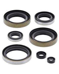 Vertex Oil Seal Kit 822102