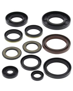 Vertex Oil Seal Kit 822202